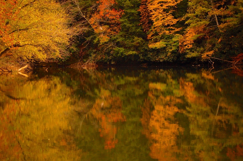 NorthCarolinaFall06m 1024x680 - Autumn Leaf Color Season Approaches